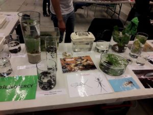 festiwal5