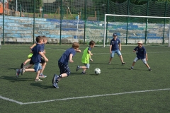 65046379_1563305983805486_7738005361864474624_n