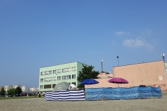 65275798_1563302477139170_8373246491120107520_n