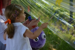 65393653_1563305767138841_5782973894113624064_n