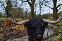 675262043_1576694917791375_3462400994360551319_n