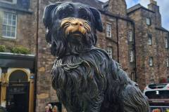 675262043_1576695107791356_1056282095683762222_n