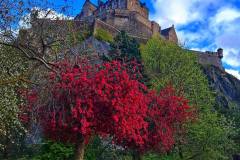 675396522_1576695324458001_6567081378029525725_n