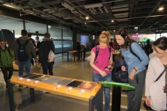 57400084_1516275625175189_2244130475268374528_n