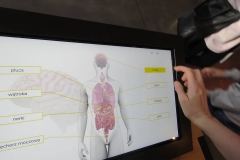 58443505_1516275075175244_5864465250673229824_n