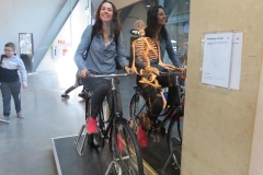 58571017_1516275195175232_4807993073558618112_n