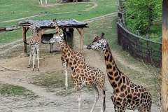 p_zoo_02