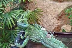 p_zoo_06