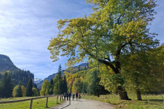 zakopane06