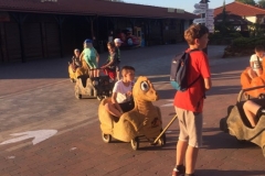 62039846_1548593111943440_4880680760773705728_n