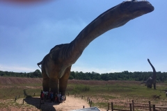 62446087_1548593208610097_3255434993886822400_n